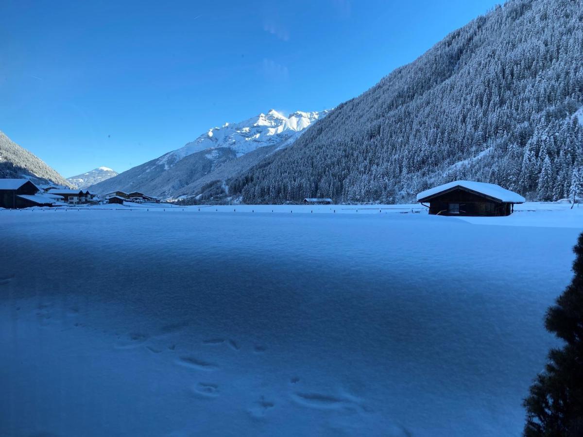 Apartment Mountainview Neustift im Stubaital Luaran gambar